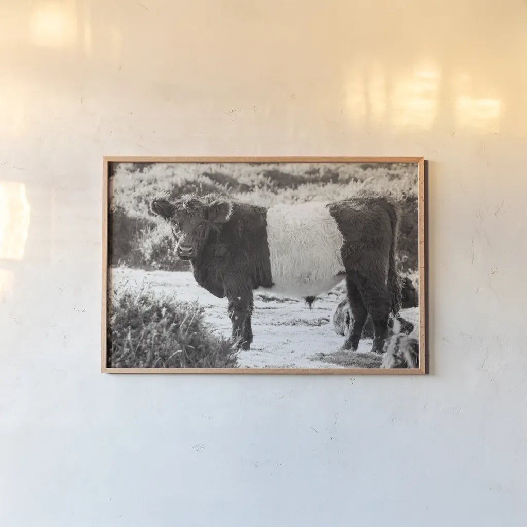 Standing Cow by Deborah Revell. shown as a paper print in a natural frame. Available as a archival giclee rolled canvas, fine art paper, or poster print. SKU 94286i.
