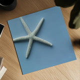 Starfish I by Deborah Revell. Shown as a detailed flat fine art print, highlighting archival giclee quality. Available as an archival giclee rolled canvas, fine art paper, or poster print. SKU 96628a.