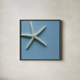Starfish I by Deborah Revell. Shown in a sleek black glass frame for a contemporary gallery look. Available as an archival giclee rolled canvas, fine art paper, or poster print. SKU 96628a.