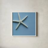 Starfish I by Deborah Revell. Shown in a crisp white glass frame for a clean and minimalist style. Available as an archival giclee rolled canvas, fine art paper, or poster print. SKU 96628a.