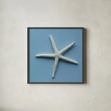 Starfish II by Deborah Revell. Shown in a sleek black glass frame for a contemporary gallery look. Available as an archival giclee rolled canvas, fine art paper, or poster print. SKU 96629a.