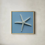 Starfish II by Deborah Revell. Shown in a natural wood glass frame for a timeless modern aesthetic. Available as an archival giclee rolled canvas, fine art paper, or poster print. SKU 96629a.