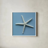 Starfish II by Deborah Revell. Shown in a crisp white glass frame for a clean and minimalist style. Available as an archival giclee rolled canvas, fine art paper, or poster print. SKU 96629a.