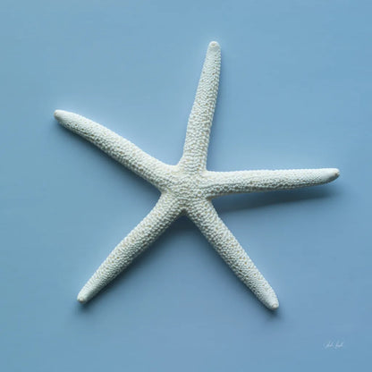 Starfish III by Deborah Revell. SKU 96630a. Archival Giclee Fine art print for wall decor.