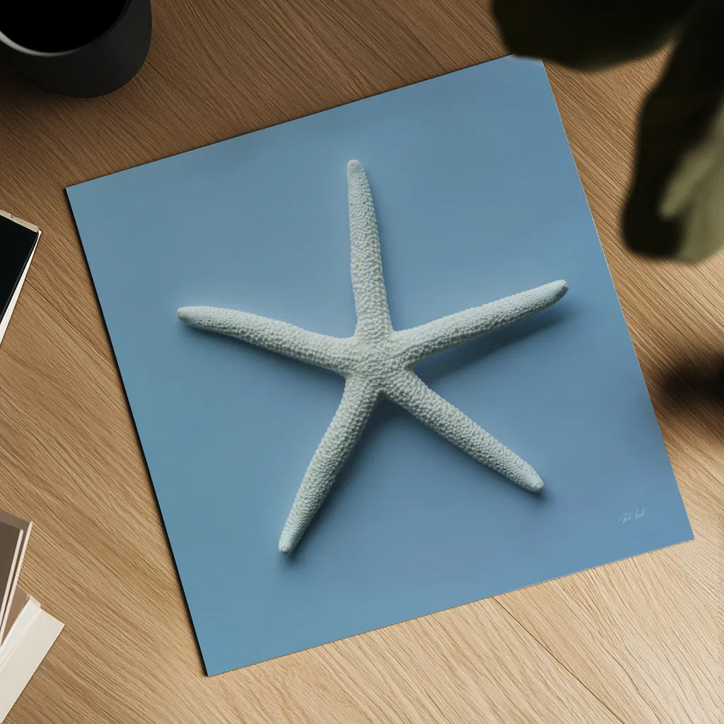Starfish III by Deborah Revell. Shown as a detailed flat fine art print, highlighting archival giclee quality. Available as an archival giclee rolled canvas, fine art paper, or poster print. SKU 96630a.