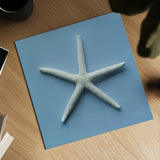 Starfish III by Deborah Revell. Shown as a detailed flat fine art print, highlighting archival giclee quality. Available as an archival giclee rolled canvas, fine art paper, or poster print. SKU 96630a.