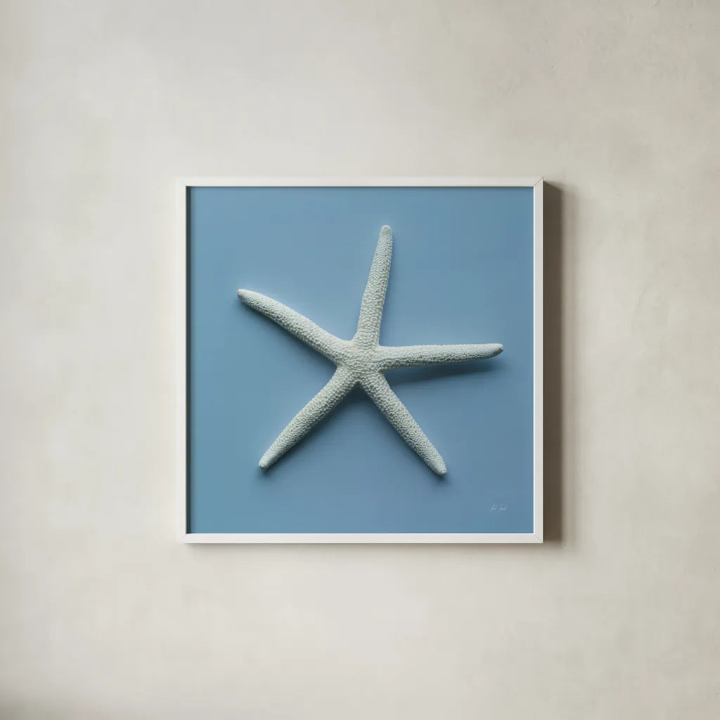 Starfish III by Deborah Revell. Shown in a crisp white glass frame for a clean and minimalist style. Available as an archival giclee rolled canvas, fine art paper, or poster print. SKU 96630a.