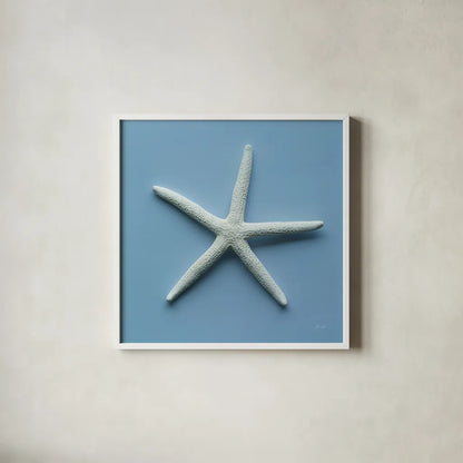 Starfish III by Deborah Revell. Shown in a crisp white glass frame for a clean and minimalist style. Available as an archival giclee rolled canvas, fine art paper, or poster print. SKU 96630a.