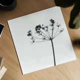 Stark by Deborah Revell. Shown as a detailed flat fine art print, highlighting archival giclee quality. Available as an archival giclee rolled canvas, fine art paper, or poster print. SKU 92047a.