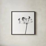 Stark by Deborah Revell. Shown in a sleek black glass frame for a contemporary gallery look. Available as an archival giclee rolled canvas, fine art paper, or poster print. SKU 92047a.