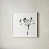 Stark by Deborah Revell. Shown in a crisp white glass frame for a clean and minimalist style. Available as an archival giclee rolled canvas, fine art paper, or poster print. SKU 92047a.