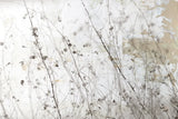 Still Wild I by Deborah Revell. SKU 100053i. Archival Giclee Fine art print for wall decor.