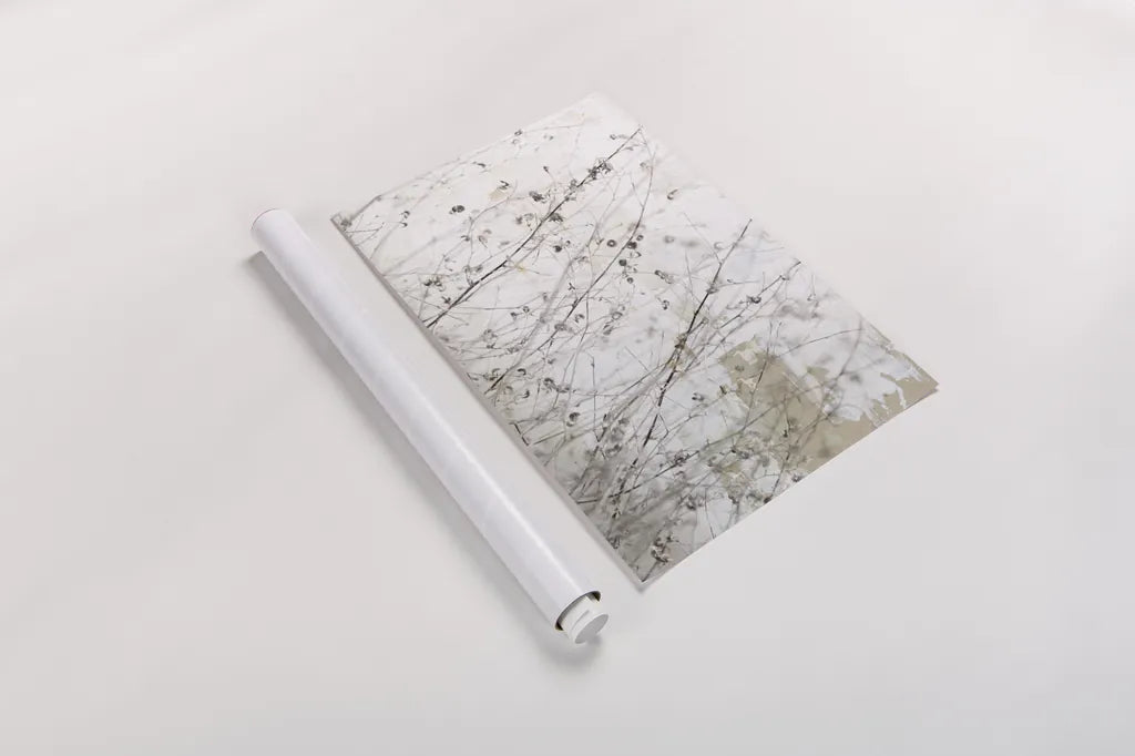 Still Wild I by Deborah Revell. shown as a rolled paper print. Available as archival giclee rolled canvas, fine art paper, or poster print. SKU 100053i.