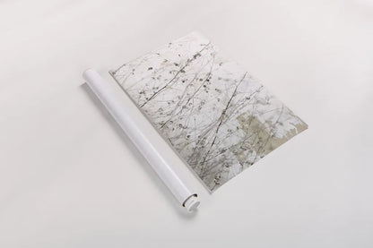 Still Wild I by Deborah Revell. shown as a rolled paper print. Available as archival giclee rolled canvas, fine art paper, or poster print. SKU 100053i.