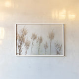 Still Wild II by Deborah Revell. shown as a paper print in a white frame. Available as a archival giclee rolled canvas, fine art paper, or poster print. SKU 100054i.