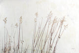 Still Wild III by Deborah Revell. SKU 100055i. Archival Giclee Fine art print for wall decor.