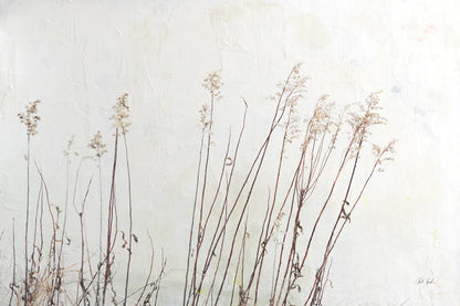 Still Wild III by Deborah Revell. SKU 100055i. Archival Giclee Fine art print for wall decor.