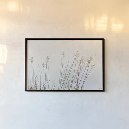 Still Wild III by Deborah Revell. shown as a paper print in a black flame. Available as a archival giclee rolled canvas, fine art paper, or poster print. SKU 100055i.