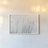 Still Wild III by Deborah Revell. shown as a paper print in a white frame. Available as a archival giclee rolled canvas, fine art paper, or poster print. SKU 100055i.