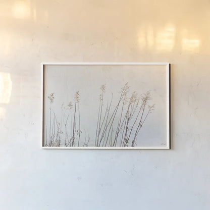 Still Wild III by Deborah Revell. shown as a paper print in a white frame. Available as a archival giclee rolled canvas, fine art paper, or poster print. SKU 100055i.