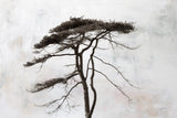 Stokenham Tree by Deborah Revell. SKU 94138i. Archival Giclee Fine art print for wall decor.