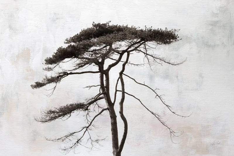 Stokenham Tree by Deborah Revell. SKU 94138i. Archival Giclee Fine art print for wall decor.