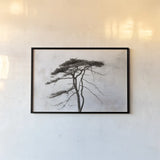 Stokenham Tree by Deborah Revell. shown as a paper print in a black flame. Available as a archival giclee rolled canvas, fine art paper, or poster print. SKU 94138i.
