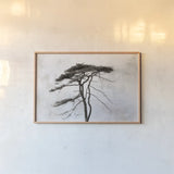 Stokenham Tree by Deborah Revell. shown as a paper print in a natural frame. Available as a archival giclee rolled canvas, fine art paper, or poster print. SKU 94138i.