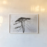 Stokenham Tree by Deborah Revell. shown as a paper print in a white frame. Available as a archival giclee rolled canvas, fine art paper, or poster print. SKU 94138i.