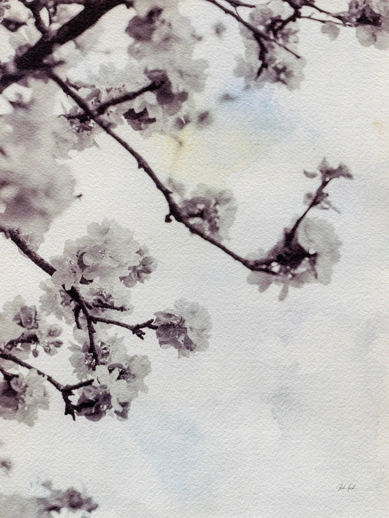 Subtle Blossom by Deborah Revell