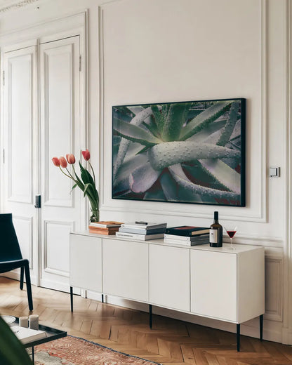 Succulent I by Deborah Revell. shown as a framed stretched canvas in a living room above a console. Available as a archival giclee rolled canvas, fine art paper, or poster print. SKU 94379i.