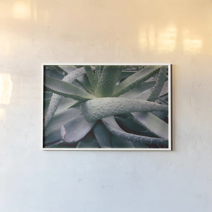 Succulent I by Deborah Revell. shown as a paper print in a white frame. Available as a archival giclee rolled canvas, fine art paper, or poster print. SKU 94379i.