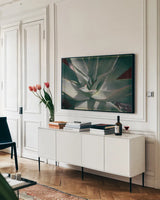 Succulent II by Deborah Revell. shown as a framed stretched canvas in a living room above a console. Available as a archival giclee rolled canvas, fine art paper, or poster print. SKU 94380i.