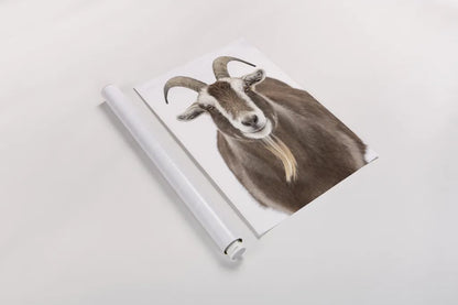 Susan the Goat by Deborah Revell. shown as a rolled paper print. Available as archival giclee rolled canvas, fine art paper, or poster print. SKU 96323h.