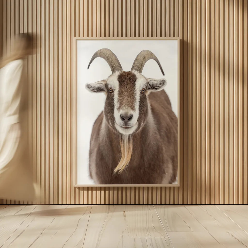 Susan the Goat by Deborah Revell. shown as over sized large wall art. Available as an archival giclee rolled canvas, fine art paper, or poster print. SKU 96323h.