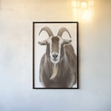 Susan the Goat by Deborah Revell. shown as a paper print in a black flame. Available as a archival giclee rolled canvas, fine art paper, or poster print. SKU 96323h.