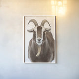 Susan the Goat by Deborah Revell. shown as a paper print in a white frame. Available as a archival giclee rolled canvas, fine art paper, or poster print. SKU 96323h.