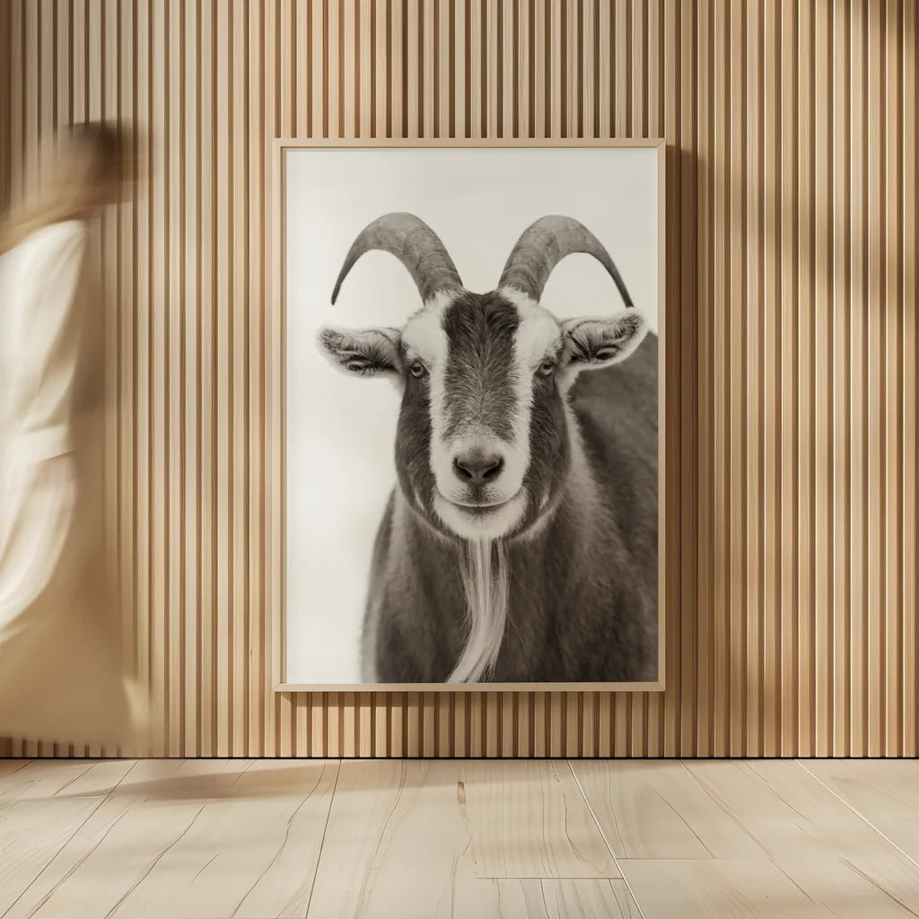 Susan the Goat BW by Deborah Revell. shown as over sized large wall art. Available as an archival giclee rolled canvas, fine art paper, or poster print. SKU 96324h.