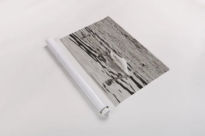 Swan Family Sepia by Deborah Revell. shown as a rolled paper print. Available as archival giclee rolled canvas, fine art paper, or poster print. SKU 96819i.