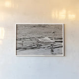 Swan Family Sepia by Deborah Revell. shown as a paper print in a white frame. Available as a archival giclee rolled canvas, fine art paper, or poster print. SKU 96819i.