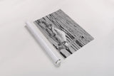 Swan and Cygnets by Deborah Revell. shown as a rolled paper print. Available as archival giclee rolled canvas, fine art paper, or poster print. SKU 96816i.