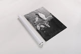 Swans on the Lake by Deborah Revell. shown as a rolled paper print. Available as archival giclee rolled canvas, fine art paper, or poster print. SKU 96818i.