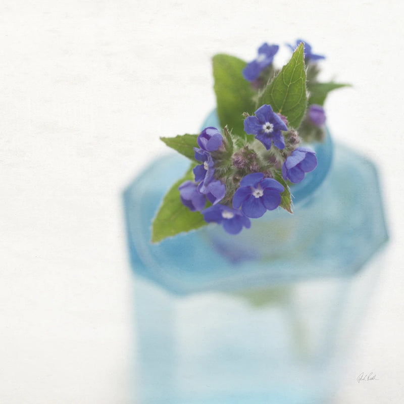 Sweet by Deborah Revell