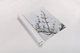 Swiss Blossom by Deborah Revell. shown as a rolled paper print. Available as archival giclee rolled canvas, fine art paper, or poster print. SKU 93439h.