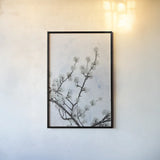 Swiss Blossom by Deborah Revell. shown as a paper print in a black flame. Available as a archival giclee rolled canvas, fine art paper, or poster print. SKU 93439h.