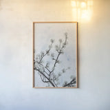 Swiss Blossom by Deborah Revell. shown as a paper print in a natural frame. Available as a archival giclee rolled canvas, fine art paper, or poster print. SKU 93439h.