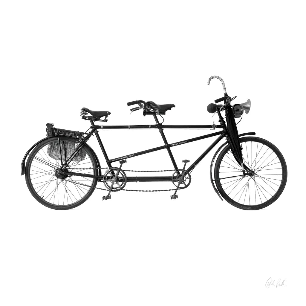 Tandem Bike by Deborah Revell. SKU 92264a. Archival Giclee Fine art print for wall decor.