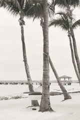 The Beach II Sepia by Deborah Revell. SKU 95314h. Archival Giclee Fine art print for wall decor.