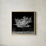 The Blossom Tree by Deborah Revell. Shown in a natural wood glass frame for a timeless modern aesthetic. Available as an archival giclee rolled canvas, fine art paper, or poster print. SKU 94577a.