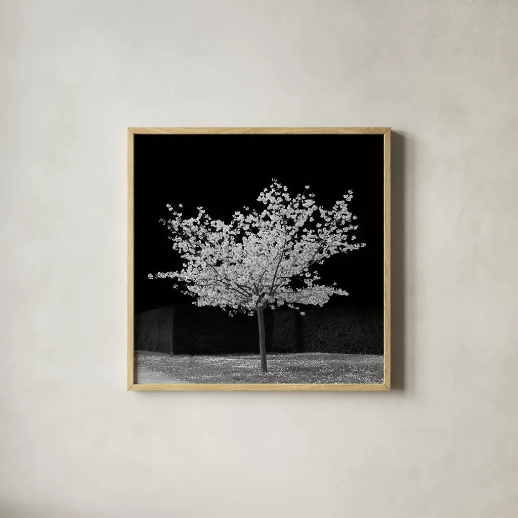 The Blossom Tree by Deborah Revell. Shown in a natural wood glass frame for a timeless modern aesthetic. Available as an archival giclee rolled canvas, fine art paper, or poster print. SKU 94577a.